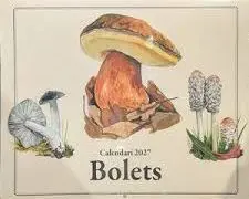 CALENDARI 2027 BOLETS