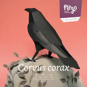 CORB. CORVUS CORAX (PLEGO PAPER)