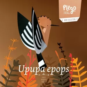 UPUPA EPOPS (PUPUT)