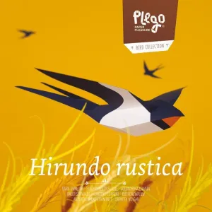ORENETA VULGAR (HIRUNDO RUSTICA) - PLEGO PAPER