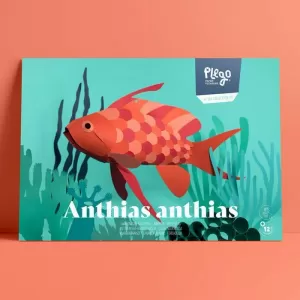FORCADELLA. ANTHIAS ANTHIAS (PLEGO PAPER)