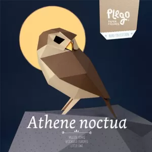 ATHENE NOCTUA (MUSSOL COMÚ)