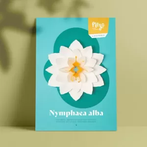 NENUFER BLANC (NYMPHAEA ALBA)