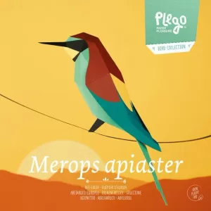 MEROPS APIASTER (ABELLEROL)