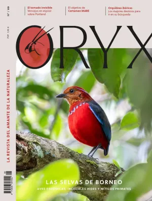 REVISTA ORYX 09