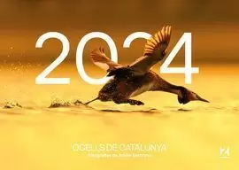 CALENDARI OCELLS DE CATALUNYA 2024. TOBRETAULA