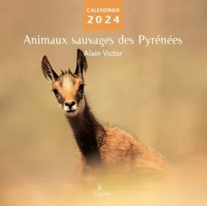 ANIMAUX SAUVAGES DES PYRÉNÉES. CALENDRIER 2024