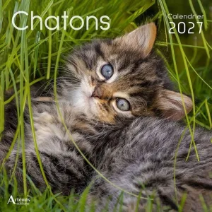 CHATONS CALENDARI 30*30CM 2027