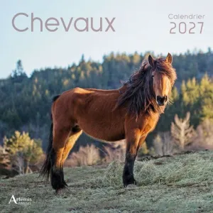 CHEVAUX CALENDARI 30*30 CM 2027