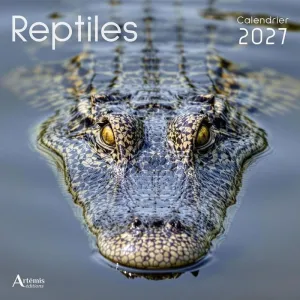 REPTILES CALENDARI 30*30 CM 2027
