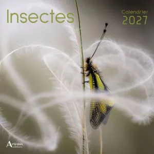 INSECTES CALENDARI 30*30CM 2027