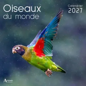 OISEAUX DU MONDE CALENDARI 30*30CM 2027