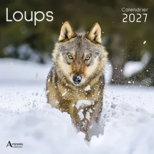 LOUPS CAELNDAR  30*30CM 2027