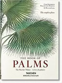 THE BOOK OF THE PALMS
