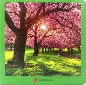 PRIMAVERA
