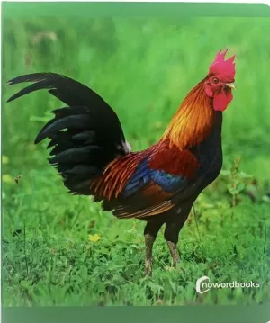 ANIMALS DE GRANJA GRAN FORMAT