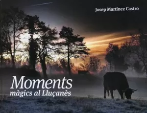 MOMENTS MÀGICS AL LLUÇANES
