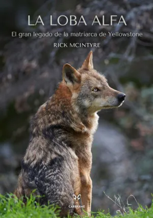 LA LOBA ALFA