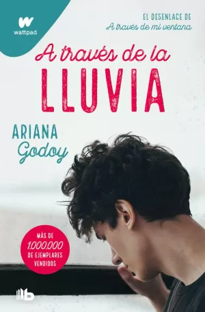 A TRAVES DE LA LLUVIA (EDICION REVISADA POR LA AUTORA)