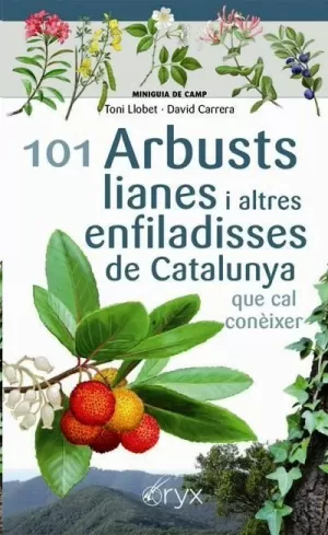 101 ARBUSTS, LIANES I ALTRES ENFILADISSES DE CATALUNYA. MINIGUIA DE CAMP