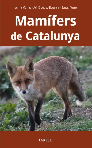 MAMÍFERS DE CATALUNYA MAMÍFERS DE CATALUNYA