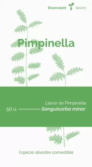 PIMPINELLA