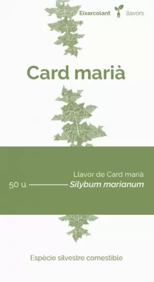 CARD MARIÀ