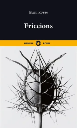 FRICCIONS