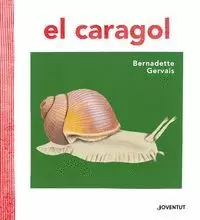 EL CARAGOL