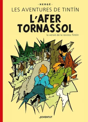 L'AFER TORNASSOL E.E.