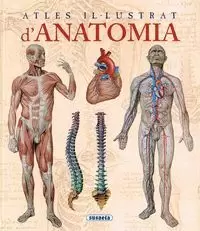 ATLES IL·LUSTRAT D'ANATOMIA