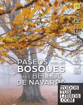 PASEOS POR LOS BOSQUES MAS BELLOS