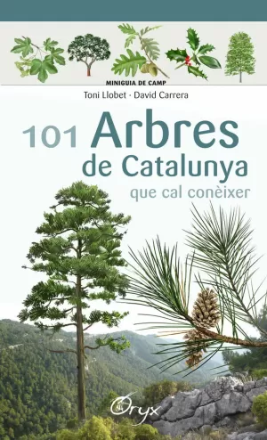 101 ARBRES DE CATALUNYA. MINIGUIA DE CAMP