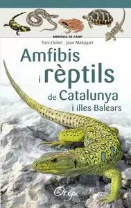 AMFIBIS I RÈPTILS DE CATALUNYA I ILLES BALEARS (MINIGUIA DE CAMP)