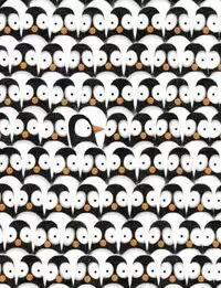 PROBLEMES D'EN PINGÜÍ, ELS