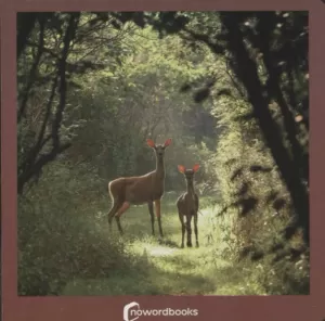 ELS ANIMALS DEL BOSC
