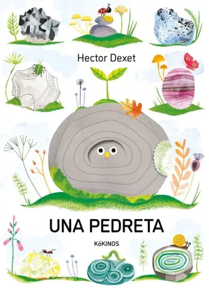 UNA PEDRETA